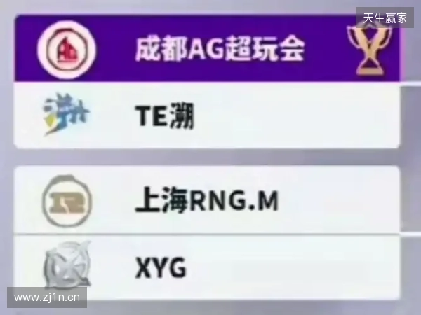 2025王者挑杯抽签结果公布 TE溯将迎战AG超玩会